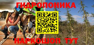 стафф Нальчик