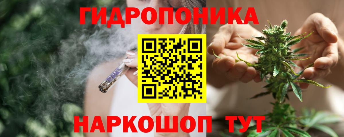Бошки Шишки марихуана  Вход с VPN  Соликамск  Каннабис OG Kush 